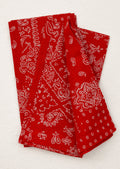 Bandana Print Napkin Set