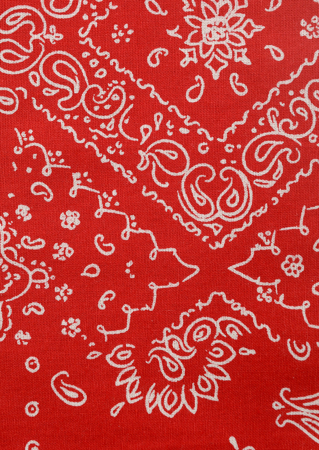 Bandana Print Napkin Set